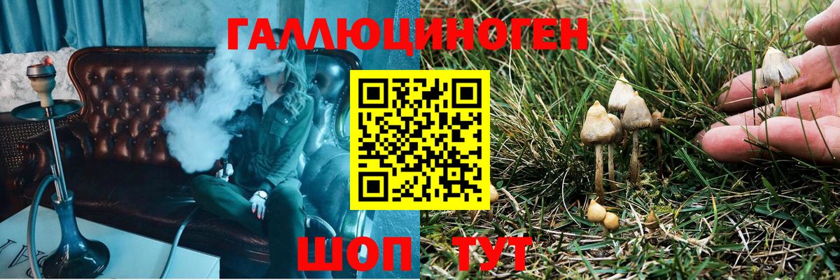Псилоцибиновые грибы GOLDEN TEACHER  Вход с VPN  где купить наркоту  Красноярск 